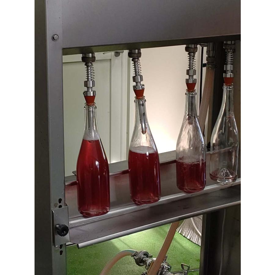 ドメーヌ・イチ　  ペティアン ナチュラル ロゼ Op.10  2024   DOMAINE ICHI ／PETILLANT NATURAL ROSE　 |  | 02