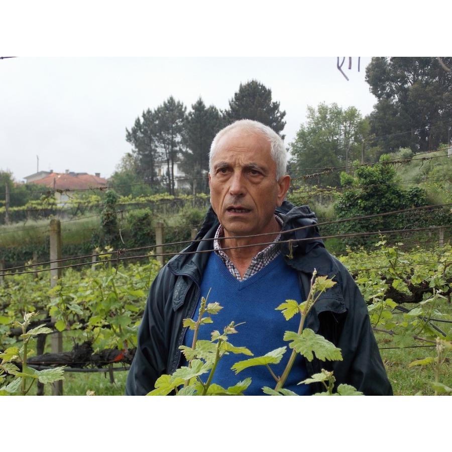 ヴィニビオ ミカ ナチュール　VINIBIO MICA MICA NATURE　2023 |  | 01