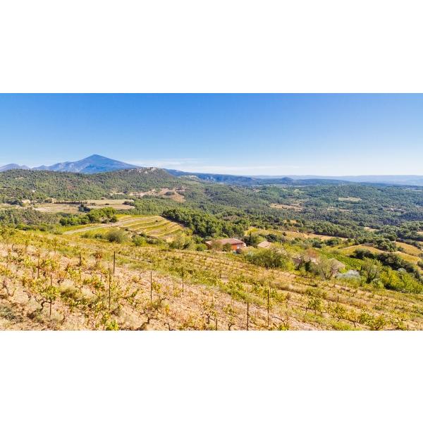 トマ・ジュリアン　シュール・ル・カイユ　2018／THOMAS JULLIEN　SUR LE CAILLOU |  | 01