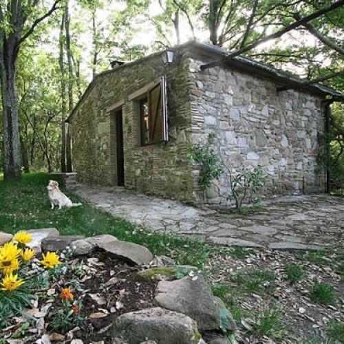 マルクス・アルテンブルガー　ヨイサー・レーベン2023／MARKUS ALTENBURGER JOISER REBEN |  | 13