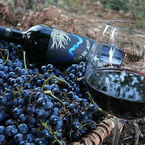 マルクス・アルテンブルガー　ヨイサー・レーベン2023／MARKUS ALTENBURGER JOISER REBEN |  | 07