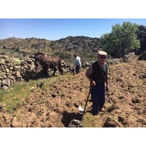 ボデガ・ドン・ファン・デ・アギラ ガスナタ/BODEGA DON JUAN DE AGUILA GAZNATA　2021 |  | 03