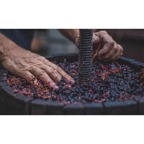 ボデガ・ドン・ファン・デ・アギラ ガスナタ/BODEGA DON JUAN DE AGUILA GAZNATA　2021 |  | 06