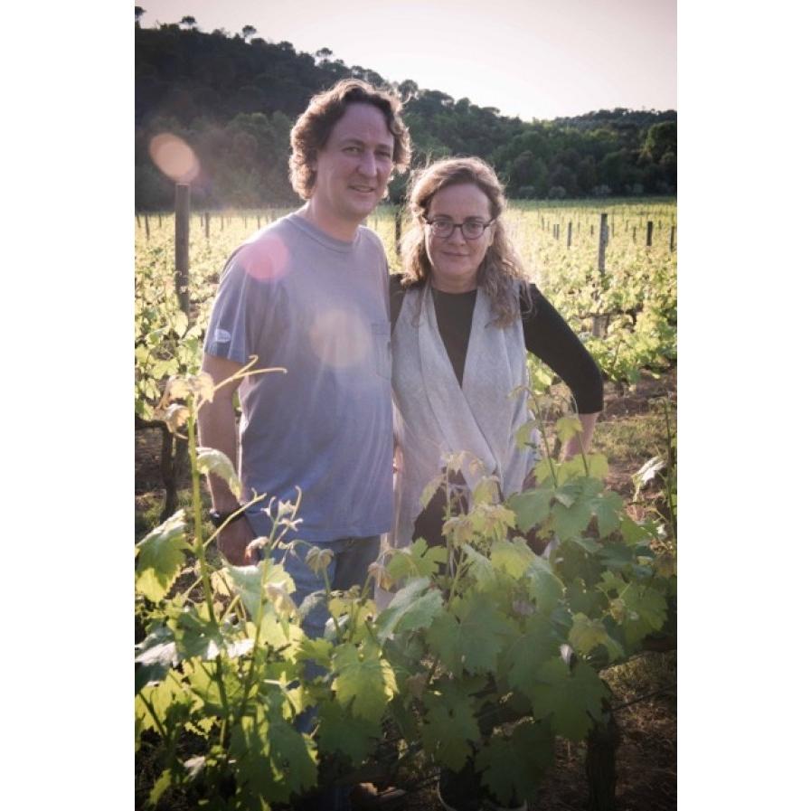 ソタ・アルス・アンジェルス　フロウ・ピンク　2022／SOTA ELS ANGELS　FLOW PINK |  | 01