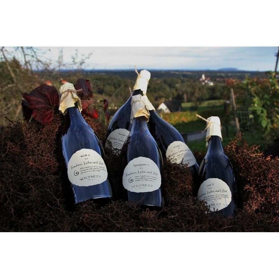 フランツ・シュトロマイヤー カットシルバー2022／ FRANZ STROHMEIER CAT-SILVER 2019 |  | 05