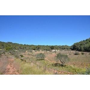 パルティーダ・クレウス　MP 3amours マグナム　2019／PARTIDA　CREUS　MP 3AMOURS MAGNUM |  | 02