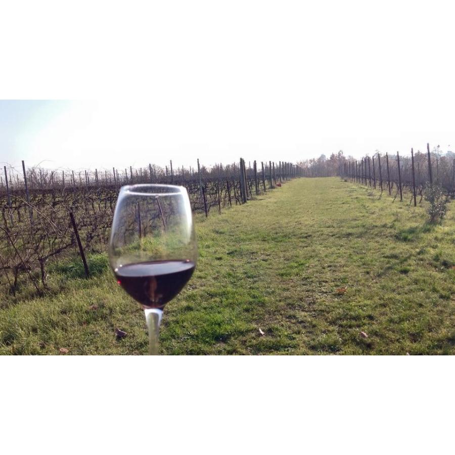 マリア・ボルトロッティ エリージョ・ビアンコ 2022／MARIA BORTOLOTTI  ELIGIO BLANCO |  | 06