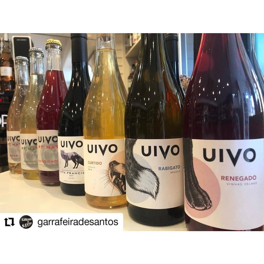 フォリアス・デ・バコ　 ウィヴォ 　ペットナット　クルティド　2022／UIVO PT NAT CURTIDO |  | 07