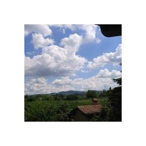 マリア・ボルトロッティ サウル・アクセ　ロッソ 2022／SAUL ACSE ROSSO |  | 04