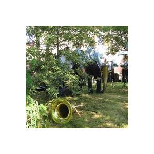 マリア・ボルトロッティ サウル・アクセ　ロッソ 2022／SAUL ACSE ROSSO |  | 05