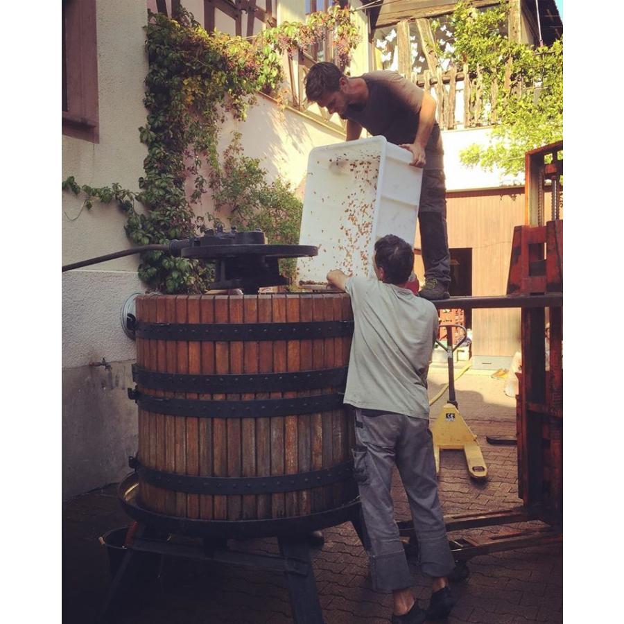 フレデリック・ゲシクト　キャダーヴル・エクスキ　NV／FREDERIC GESCHICKT CADAVRES EXQUIS SOLERA OF PINOTS ON 4 VINTAGE |  | 03