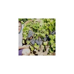 クロ・マソット　エム・エ・テ・トワ　ルージュ　2022／CLOS MASSOTTE　M ET TES TOI ROUGE　2022 |  | 04