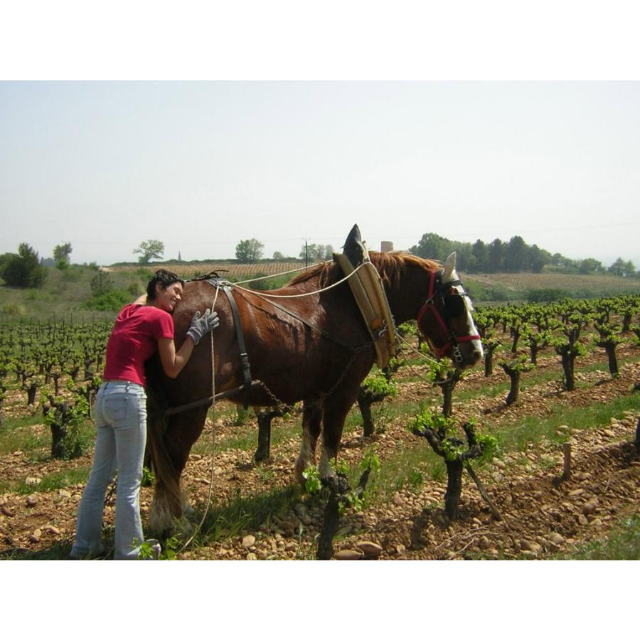 マス・リビアン　ペタンク　2024／MAS DE LIBIAN　PETANQUE |  | 01