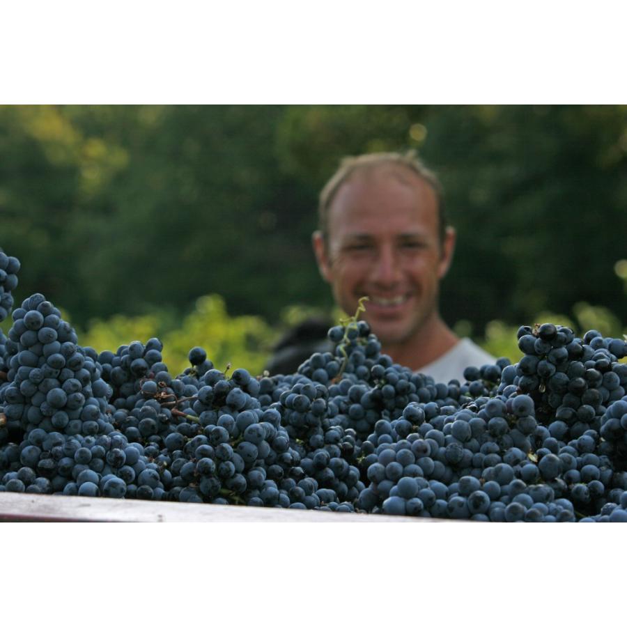 マス・リビアン　ペタンク　2024／MAS DE LIBIAN　PETANQUE |  | 03