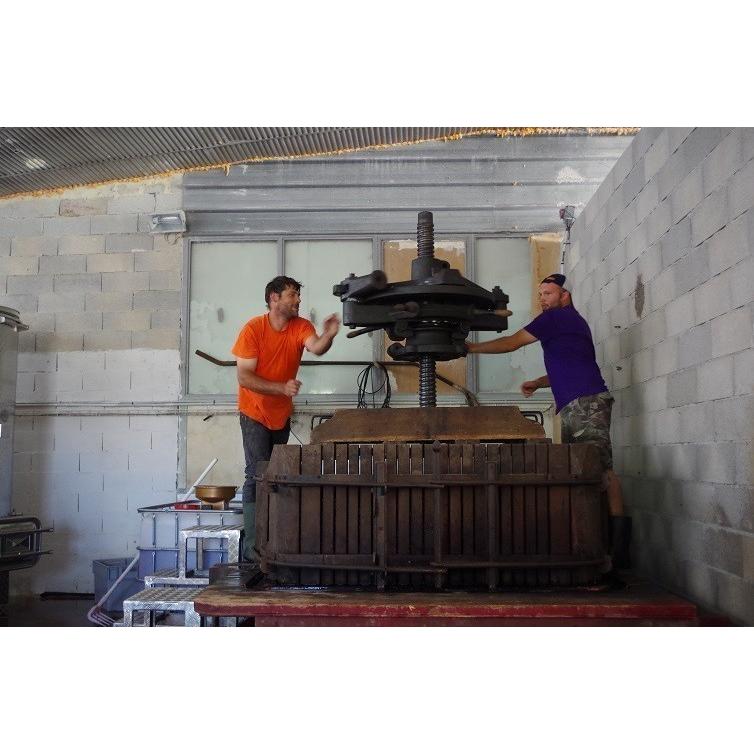 フレデリック・ゲシクト フェニックス　2023／FREDERIC GESCHICKT  PHENIX |  | 08