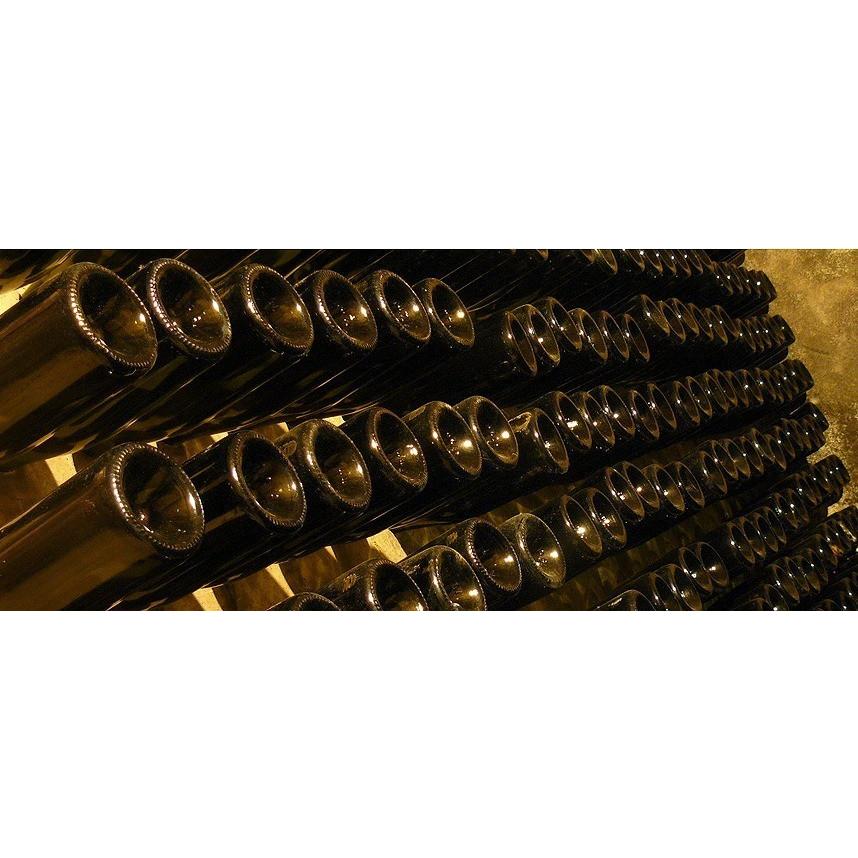 マス・オリベル カバ チャンカレ　ブリュット／CAVA CHAMCALET BRUT |  | 03