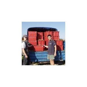 クロ・マソット　キュベ　オルジニー　2023／CUVEE ORIGINE |  | 03