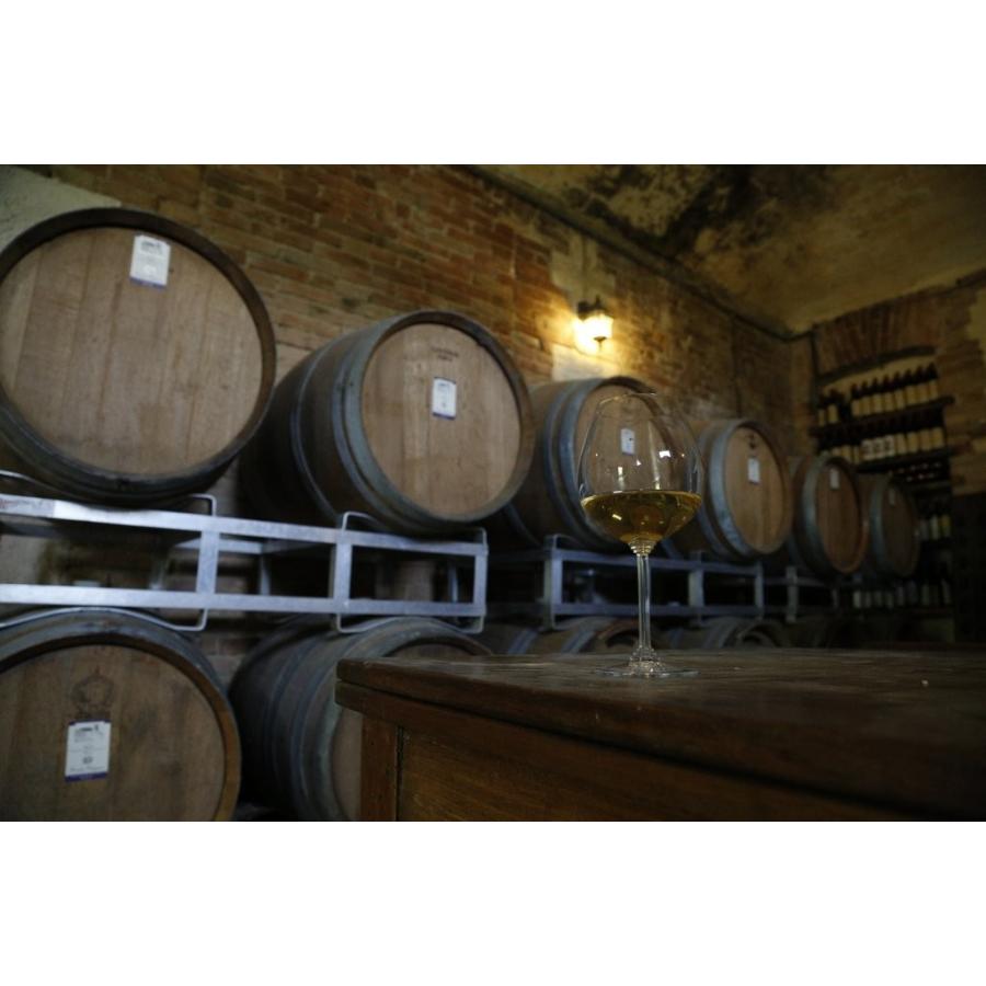 ブガンツァ　ラ・ジガ 2021／BUGANZA LA GIGA　2021 |  | 03