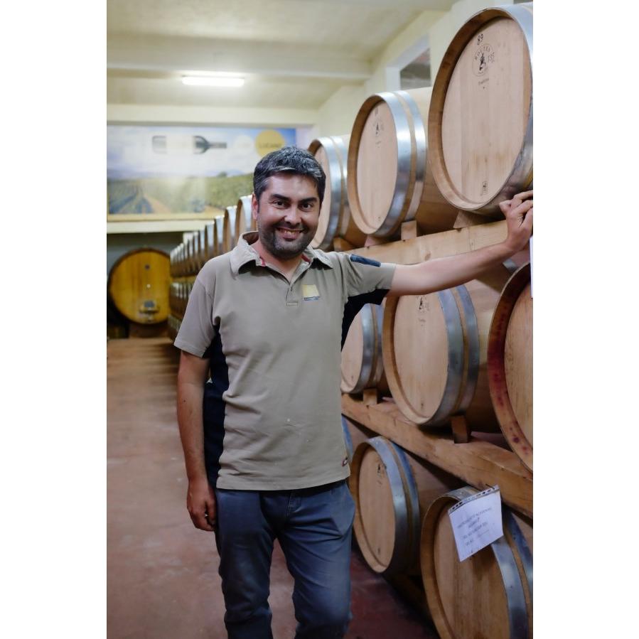 カンティーナ・ヴェノーザ　ヴェルボ　マルヴァジア　ビアンコ　2018／CANTINA DI VENOSA VERBO MALVASIA BIANCO　2018 |  | 01