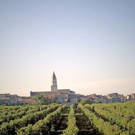 カンティーナ・ヴェノーザ　ヴェルボ　マルヴァジア　ビアンコ　2018／CANTINA DI VENOSA VERBO MALVASIA BIANCO　2018 |  | 04