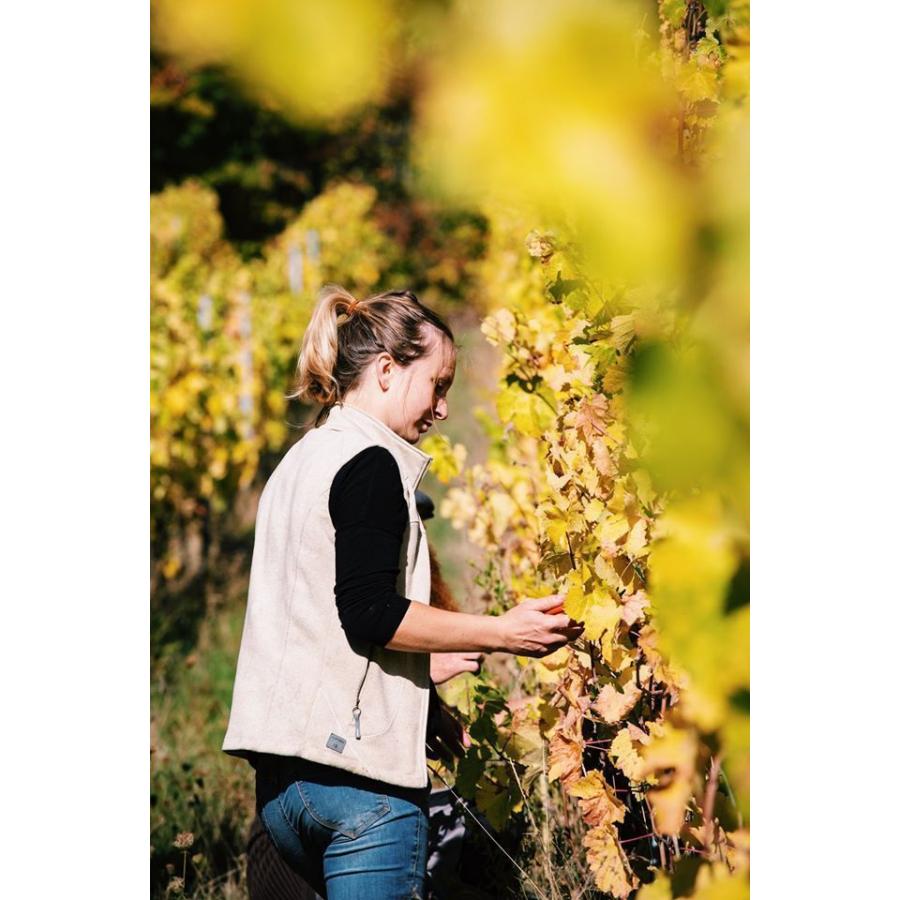 フレデリック・ゲシクト　ケフェルコプフ　グラン・クリュ　ブレンド　2016／KAEFFERKOPF GRAND CRU |  | 01