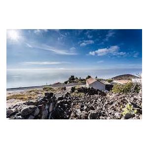 ツェッペが必ず入っている福袋C　送料無料　クール便代別途（離島はのぞく） |  | 02