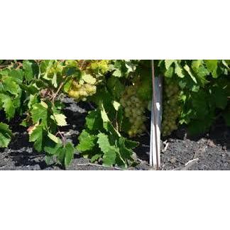 ツェッペが必ず入っている福袋C　送料無料　クール便代別途（離島はのぞく） |  | 05