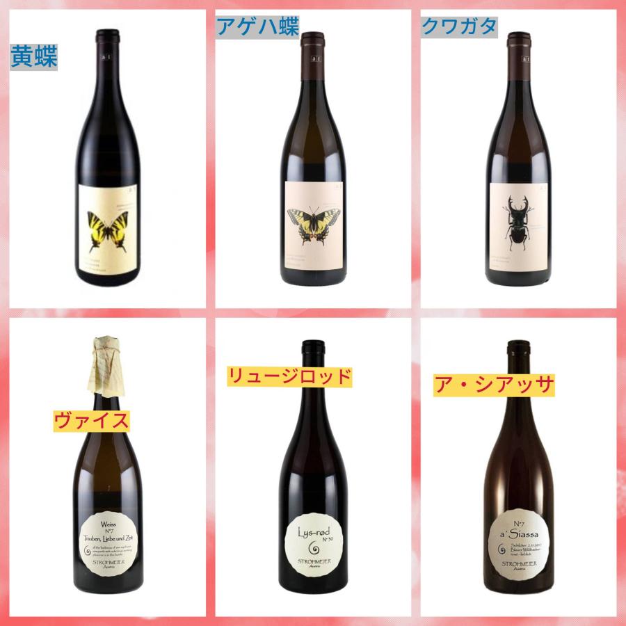 アンドレアス・ツェッペ　ミニドリームbox2022 | 