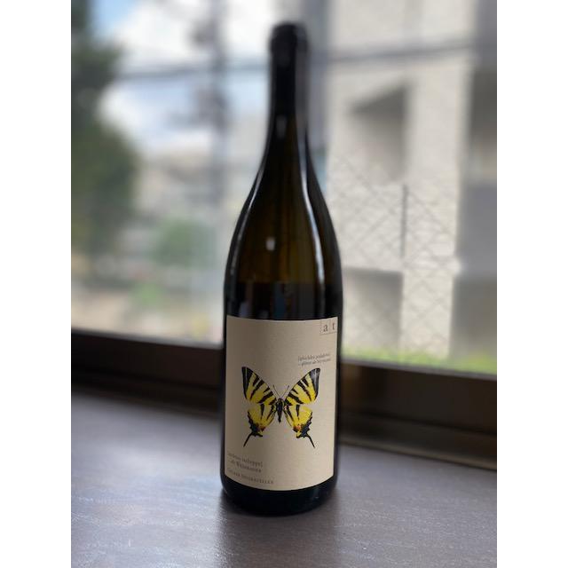 アンドレアス・ツェッペ　ミニドリームbox2022 |  | 01