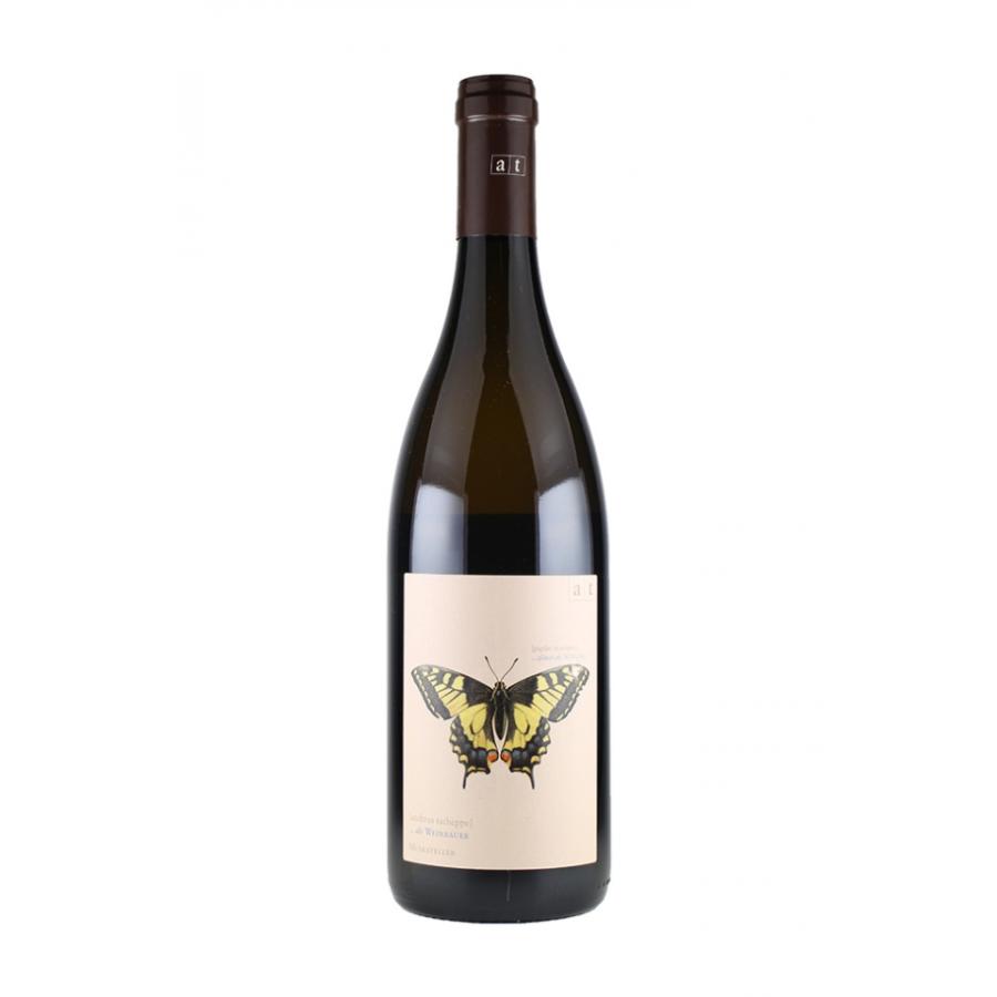 アンドレアス・ツェッペ　ミニドリームbox2022 |  | 02