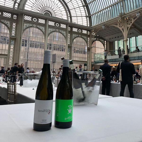 ケメトナー　ソーヴィニヨン・ブラン　#ノーフィルター／WEINGUT KEMETNER　SAUVIGNON BLANC #NOFILTER |  | 04