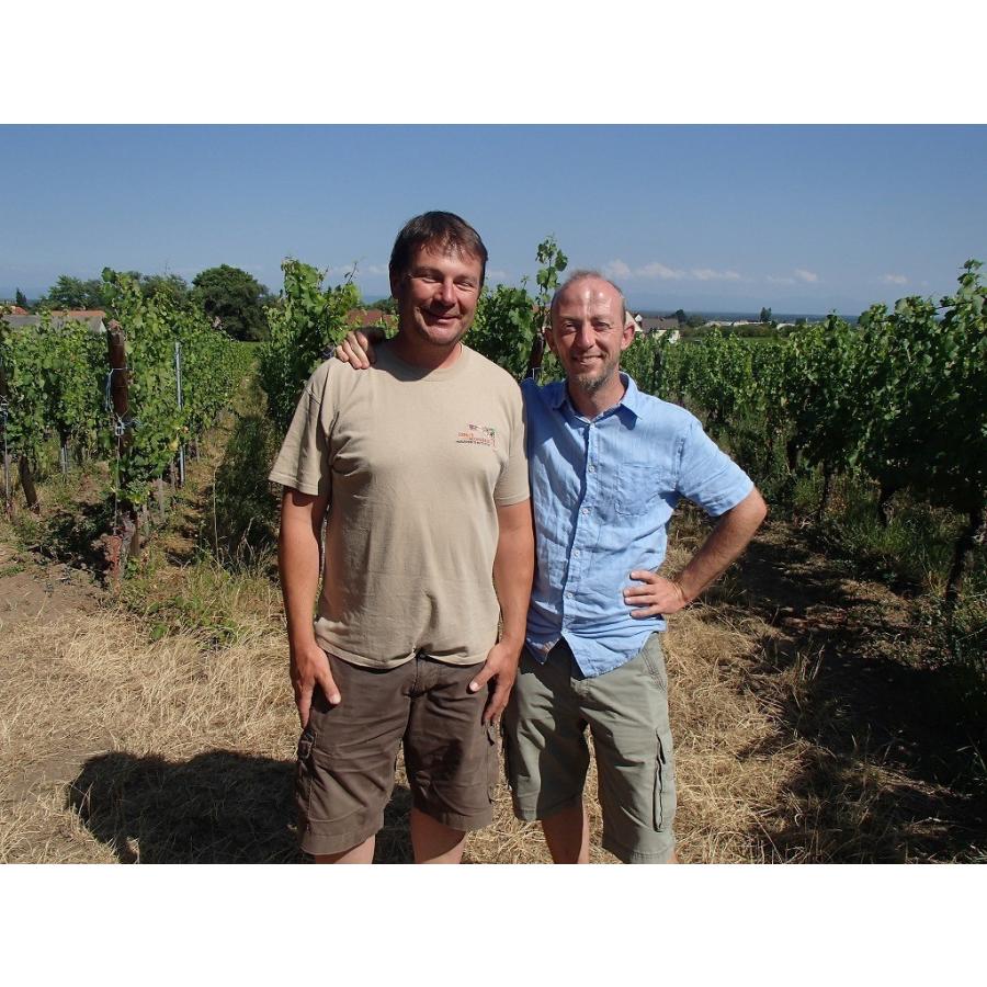 トゥティ・フルッティ・アナナス ミルティロ 2022／Tutti Frutti Ananas Mirtillo 2020 |  | 02