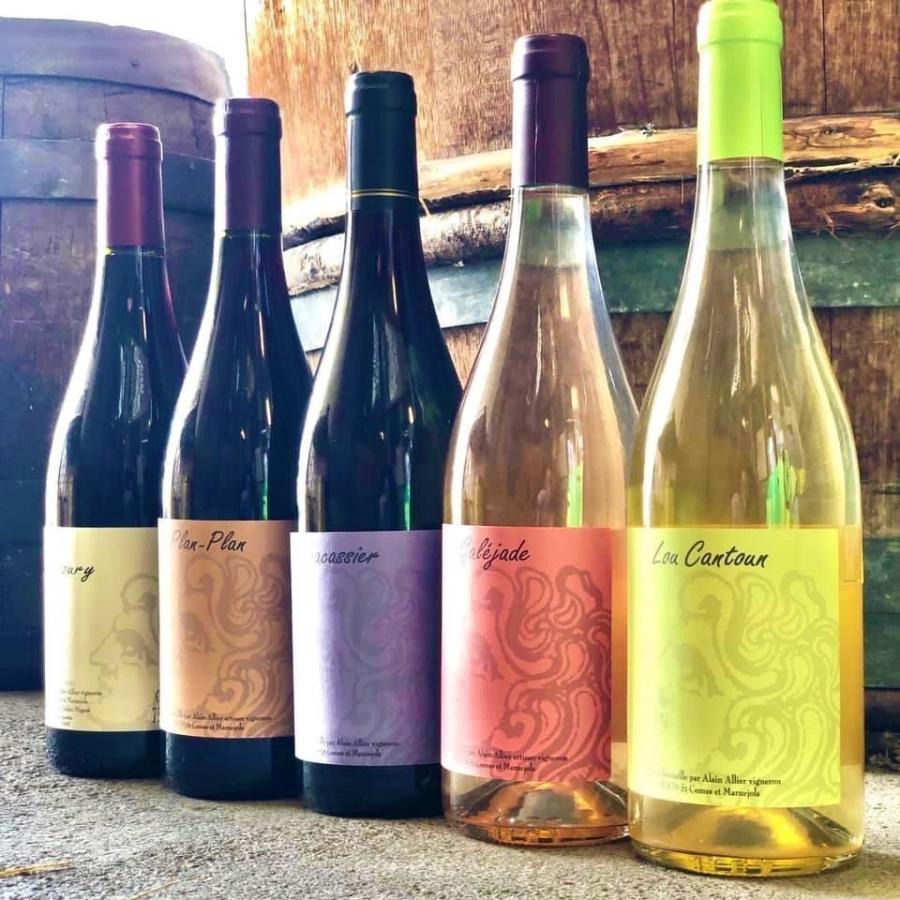 ムレシップ　アキルー　2023／AQUI LOU |  | 02