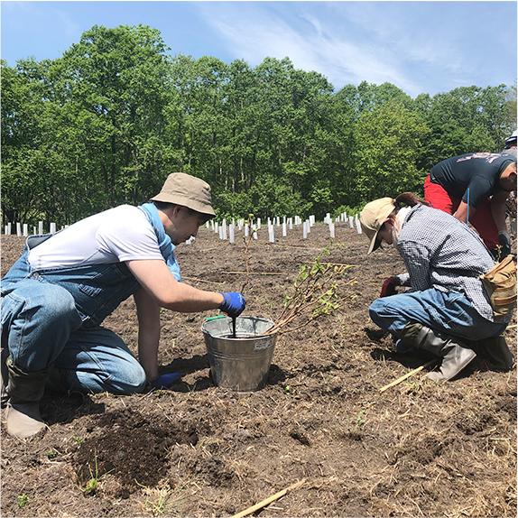 アパルタグア　グランヴェラーノ　カベルネ・ソーヴィニョン／Apaltagua Granverano Cabernt Sauvignon |  | 03