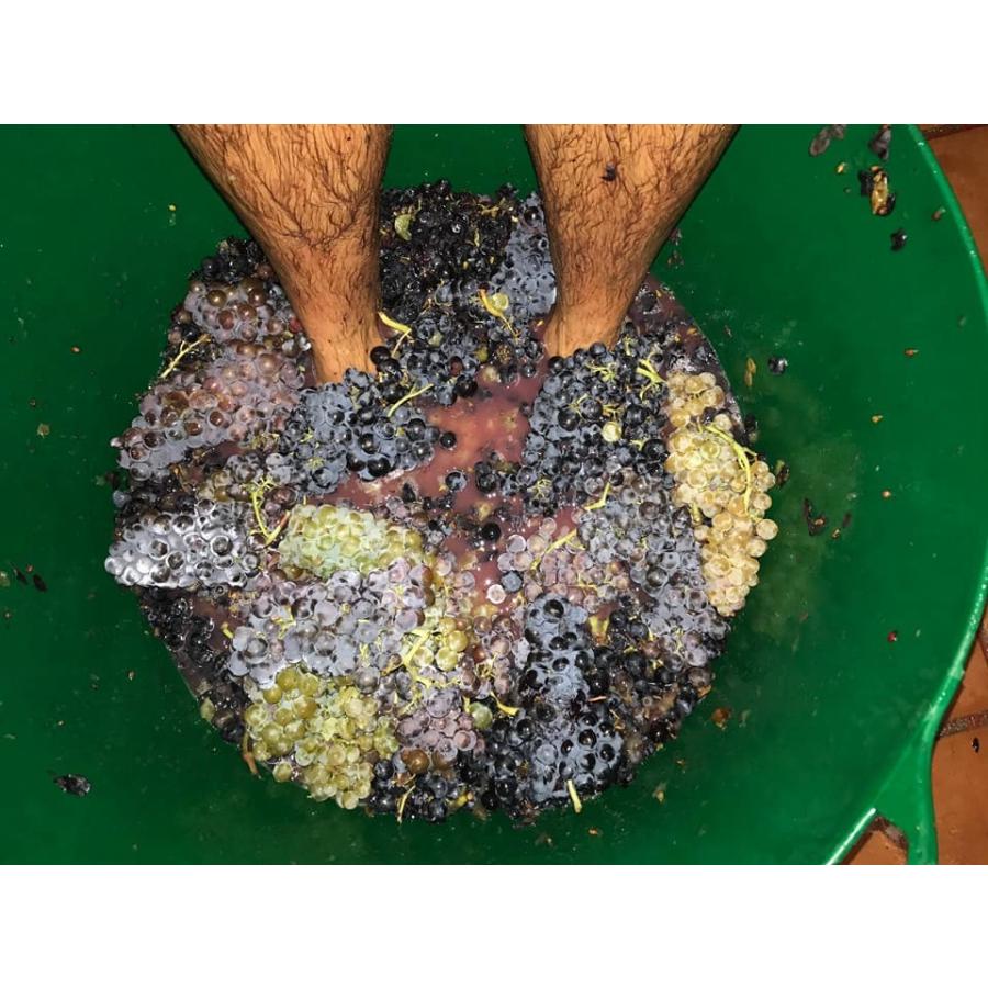 コスミック・ヴィニャテーズ パッション 2019／CELLER COSMIC VINYATERS PASSION |  | 13