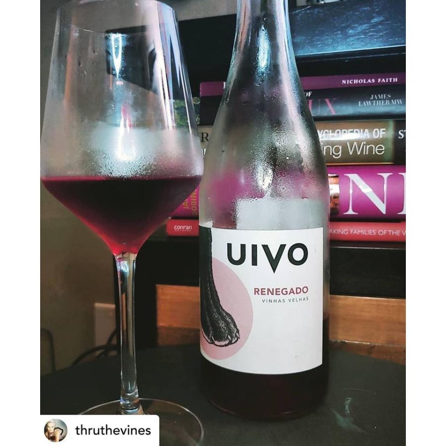 フォリアス・デ・バコ　 ウィヴォ　アンフォラ　2021／UIVO CURTIDO　2021 |  | 11