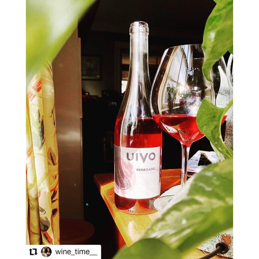 フォリアス・デ・バコ　 ウィヴォ　アンフォラ　2021／UIVO CURTIDO　2021 |  | 09