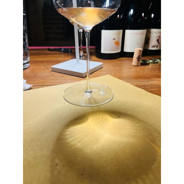 ソット・イル・ノーチェ　トリファルコ　2023／SOTTO　IL　NOCE 　TRIFALCO |  | 03