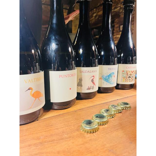 ソット・イル・ノーチェ　トリファルコ　2023／SOTTO　IL　NOCE 　TRIFALCO |  | 04