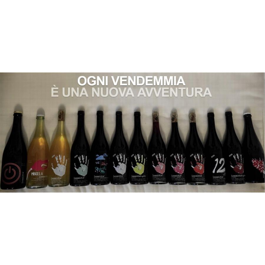 オリヴィエ・クザン　オ・ドゥラ 2023／OLIVIER COUSIN AU DELA　2023 |  | 02