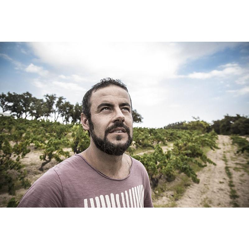 コスミック・ヴィニャテーズ エッセンシア　2019　350ML　（白・甘口）／ESSENCIA |  | 02