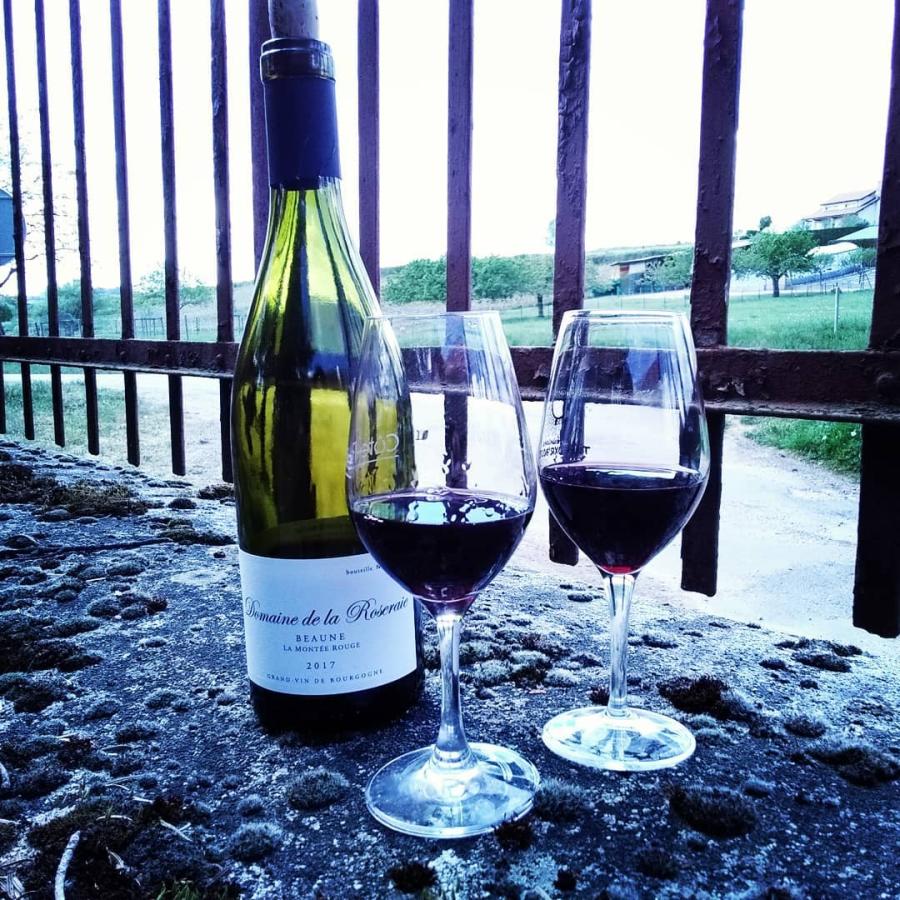 ドメーヌ・ド・ラ・ロズレー　ブルゴーニュ・オート・コート・ド・ボーヌ　ジムノポディ 2021／DOMAINE DE LA ROSERAIE 　BOURGOGNE HAUTES-COTES DE BEAUNE |  | 01