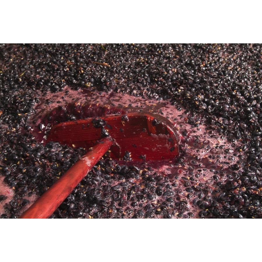 フランツ・シュトロマイヤー　ブラン・ドランジュ　2022／BLANC D’ORANGE |  | 04