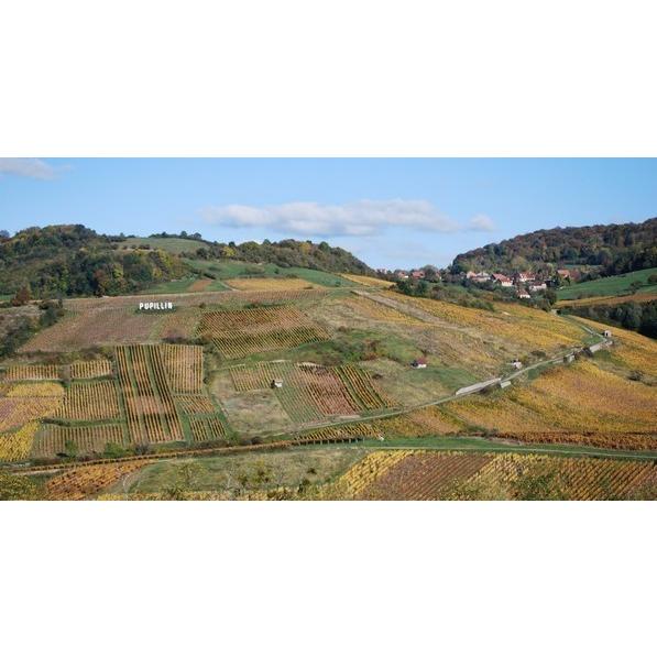 ドメーヌ・ド・ラ・ボルド　シャルドネ　コート・デ・カイヨ　2020／CHARDONNAY　COTE DE CAILLOT　2020 |  | 04