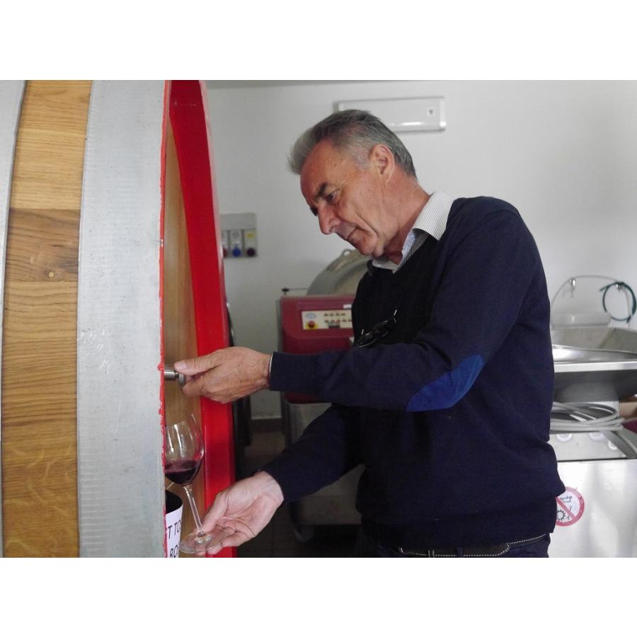 ラ・マリオーザ ロッソ　LA MALIOSA ROSSO 2020 |  | 02