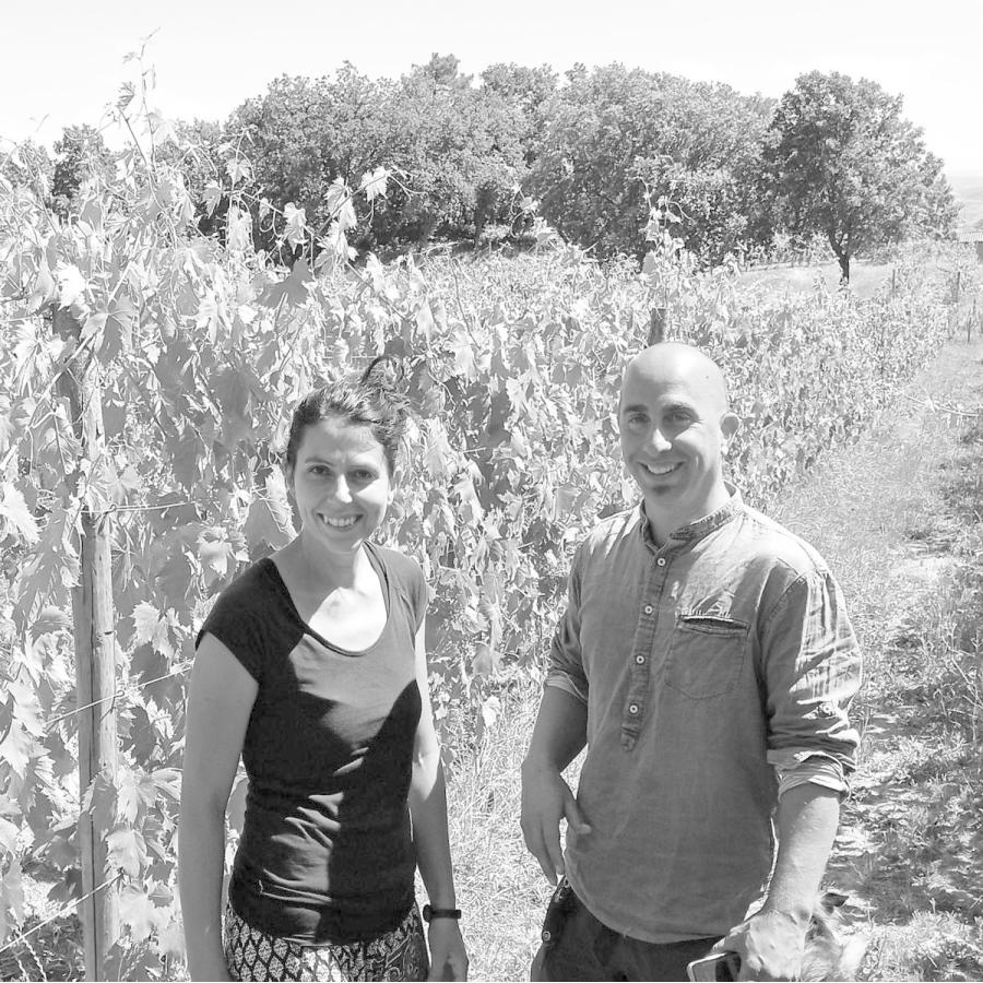 バレナイア　ビアンコ　20210／BALENAIA BIANCO(オレンジ) |  | 01