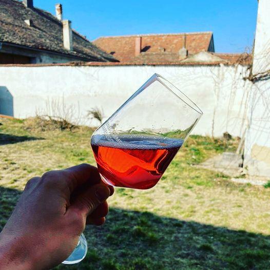 ケメトナー　グリューナー・ヴェルトリーナー カンプタール DAC　2023／WEINGUT KEMETNER　GTUNER VELTLINER KANPTAL |  | 09