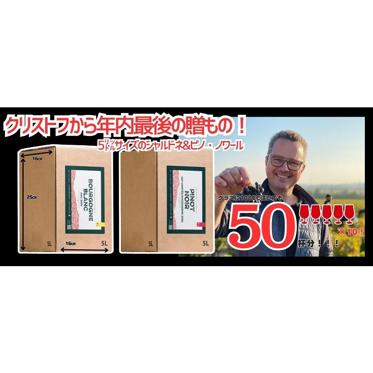 クリストフ・パカレ　ピノ・ノワールBIB 2024 【5リットル】／CHRISTOPHE PACALET　Pinot Noir  BIB |  | 01