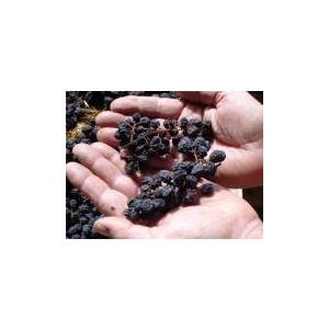 ステファン・ティソ　ピノ・ノワール　オン・バルブロン　2020　／PINOT NOIR EN BARBERON |  | 06