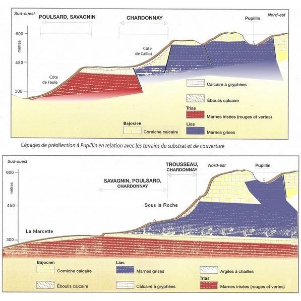 ドメーヌ・ド・ラ・ボルド　ヴァン・ジョーヌ　2016／VIN JAUNE　Domaine de la Borde 　2016 |  | 02